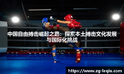 乐球体育直播