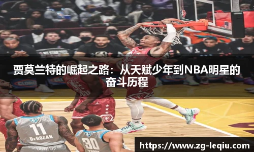 乐球体育直播间