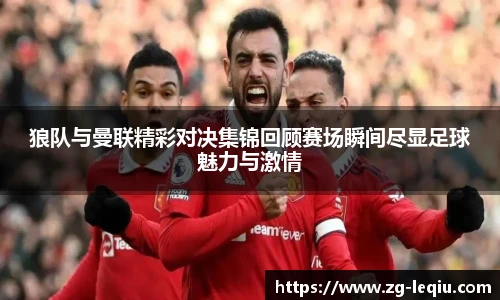 乐球体育直播