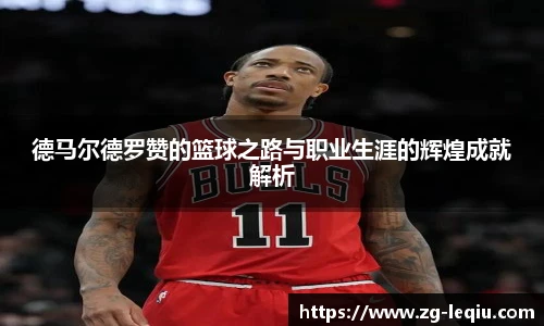 乐球体育直播