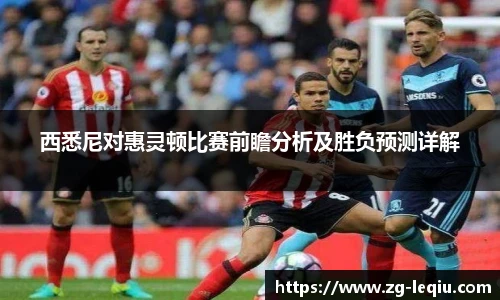 乐球直播