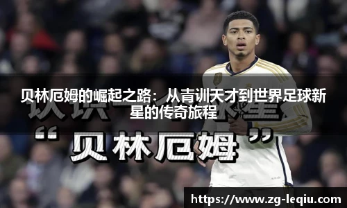 乐球直播
