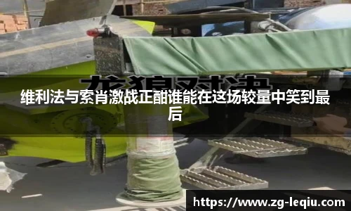 乐球体育